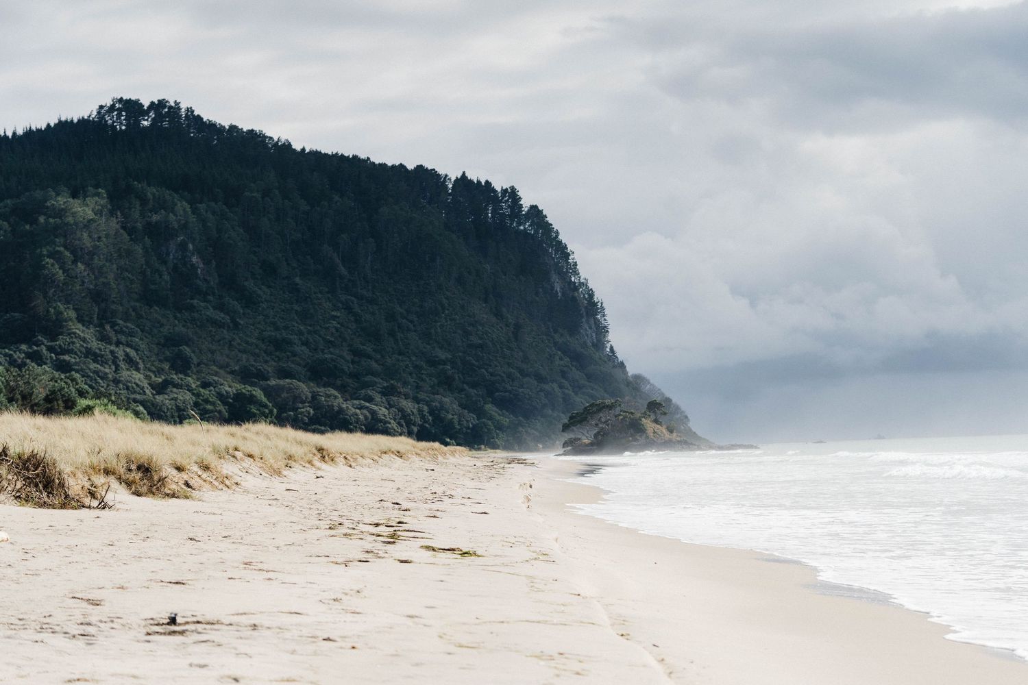 Dramatic coastal landscape featuring a curved sandy beach with forested cliffs and misty ocean views.