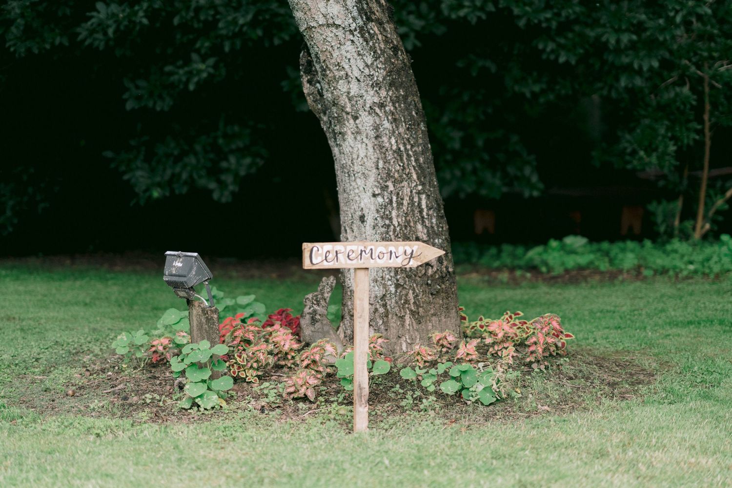 Garden bed with roses and decorative elements along a grassy path.