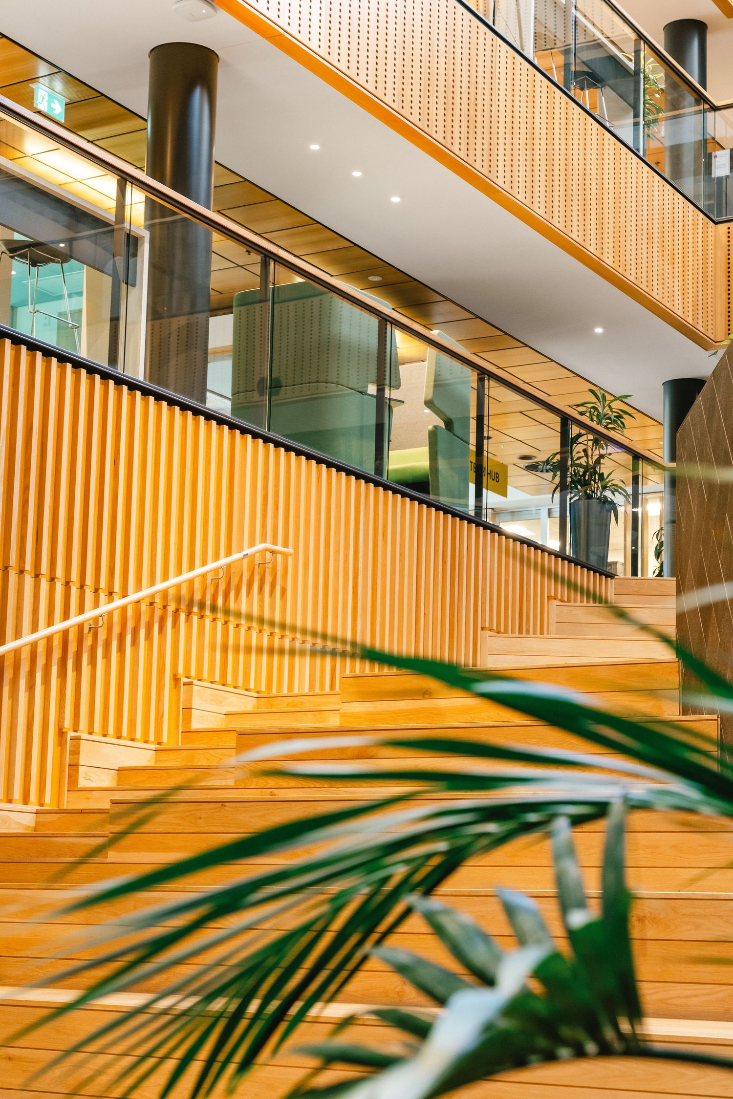 Modern interior staircase with wooden steps and glass railings features orange-tinted walls and palm plant decor.