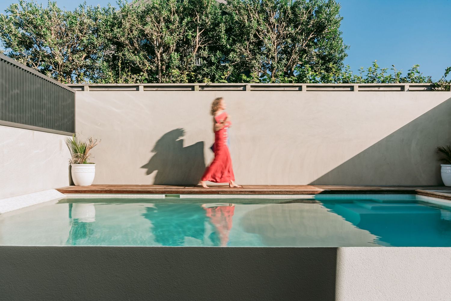 Modern minimalist swimming pool surrounded by white walls and tropical plants on an elevated outdoor terrace.