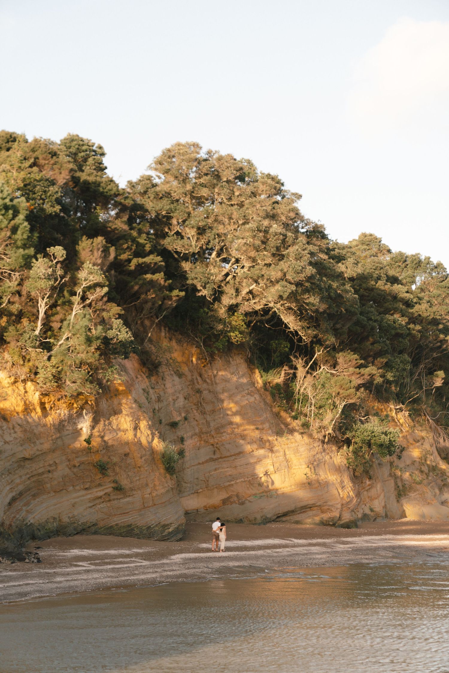 Golden sunlight illuminates a scenic beach with tall rocky cliffs and lush vegetation.