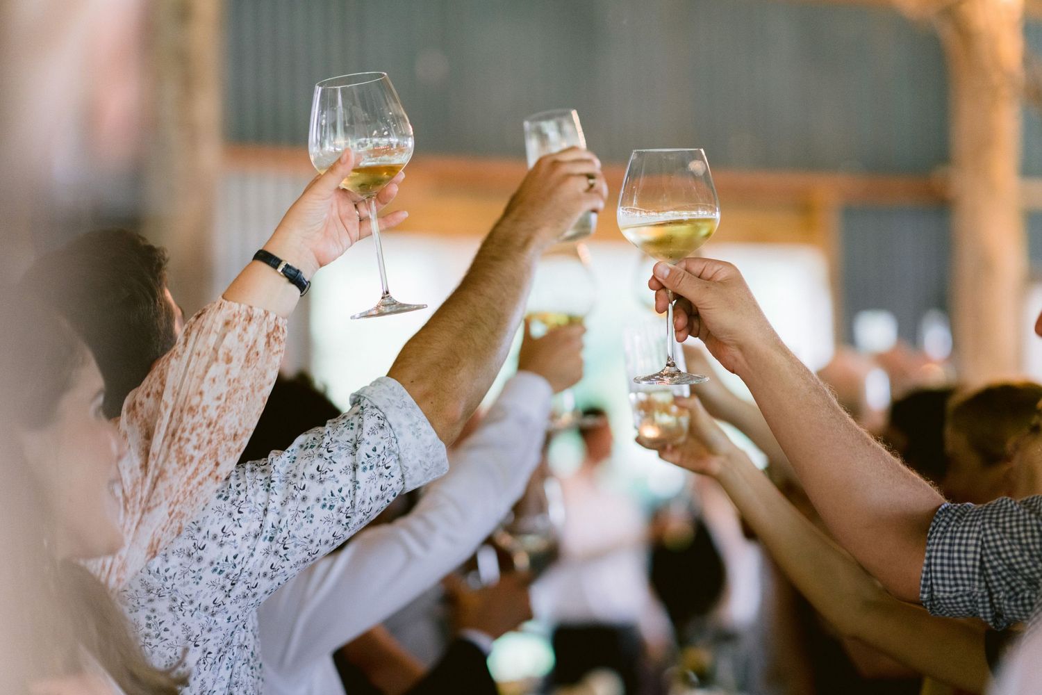 Wedding guests raising glasses for a celebratory toast at the reception.