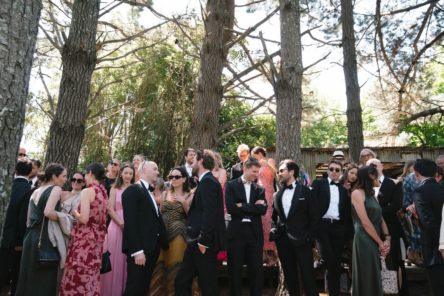 A crowd of formally dressed wedding guests mingle beneath tall trees at an outdoor celebration.