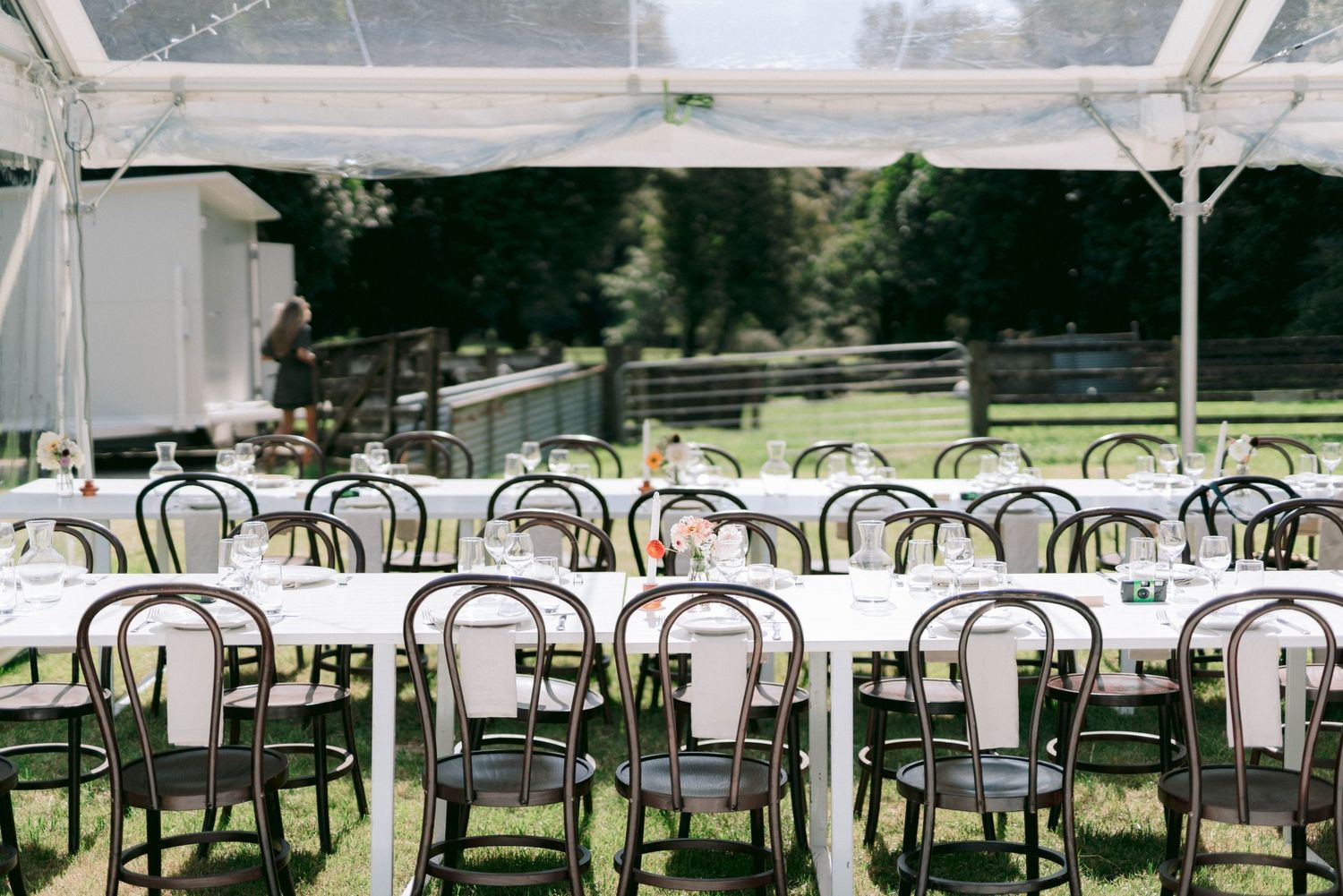 Empty bentwood chairs set up under a clear tent for an outdoor wedding reception.