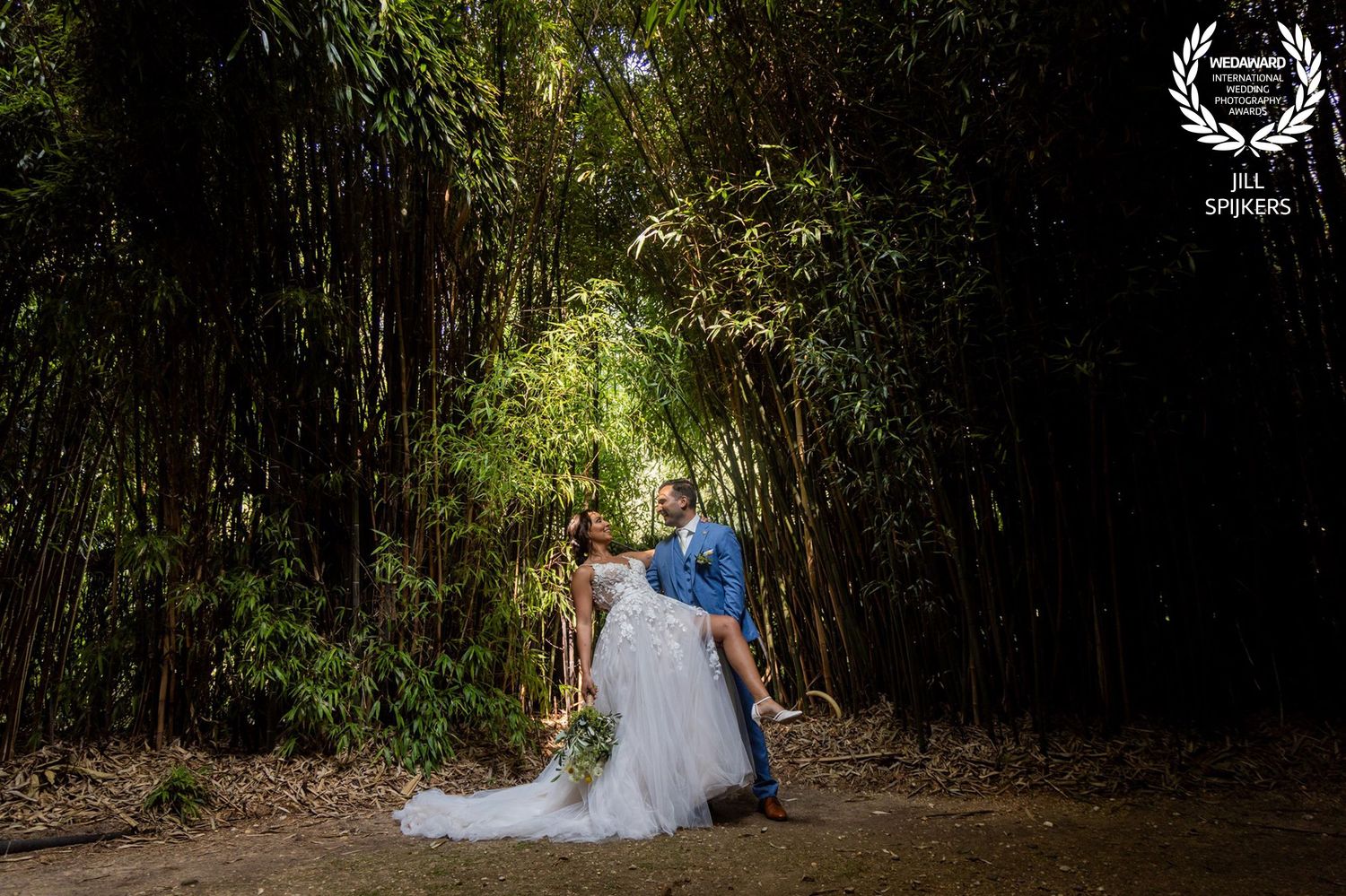 Wedding couple in a lush bamboo forest with sunlight filtering through.