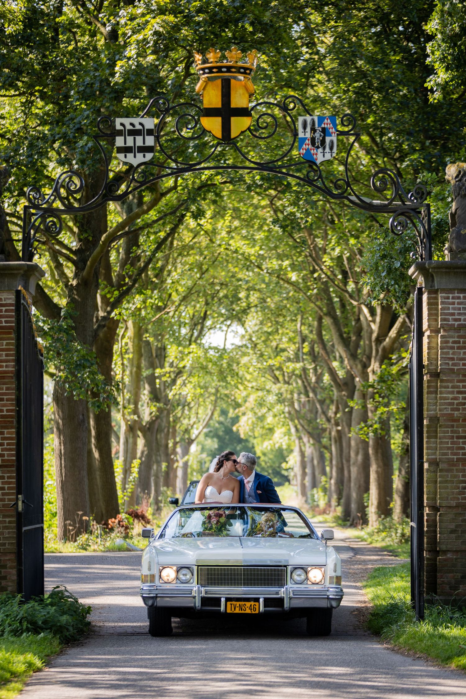 Classic car drives through tree-lined avenue under ornate entrance arch.