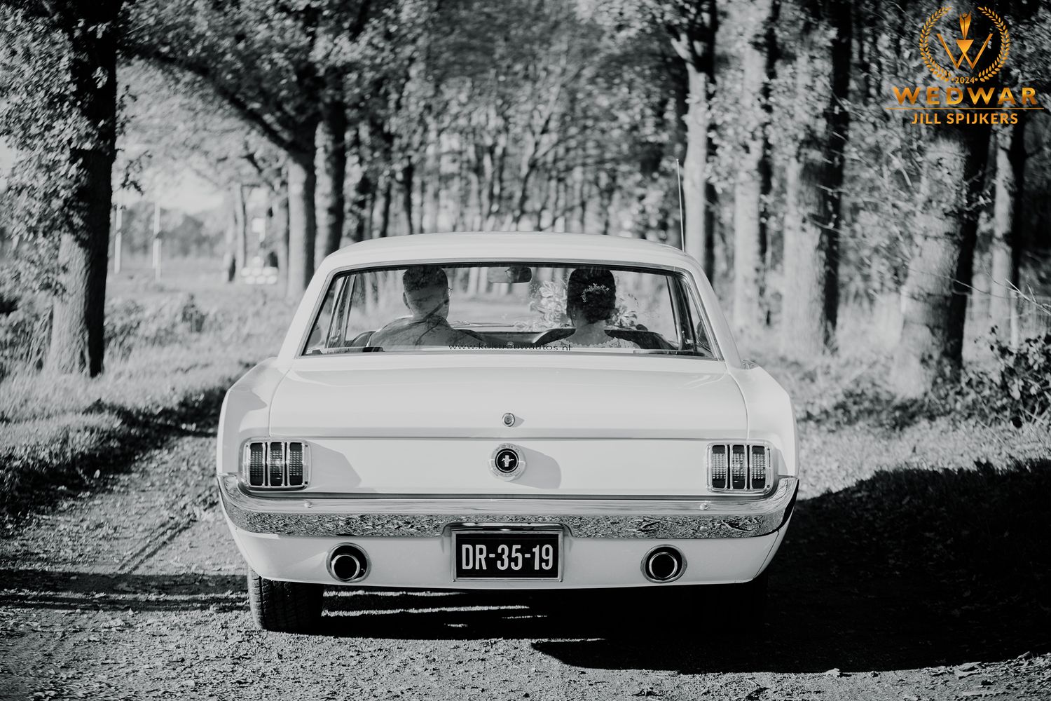 Classic vintage Ford Mustang captured in black and white forest setting.