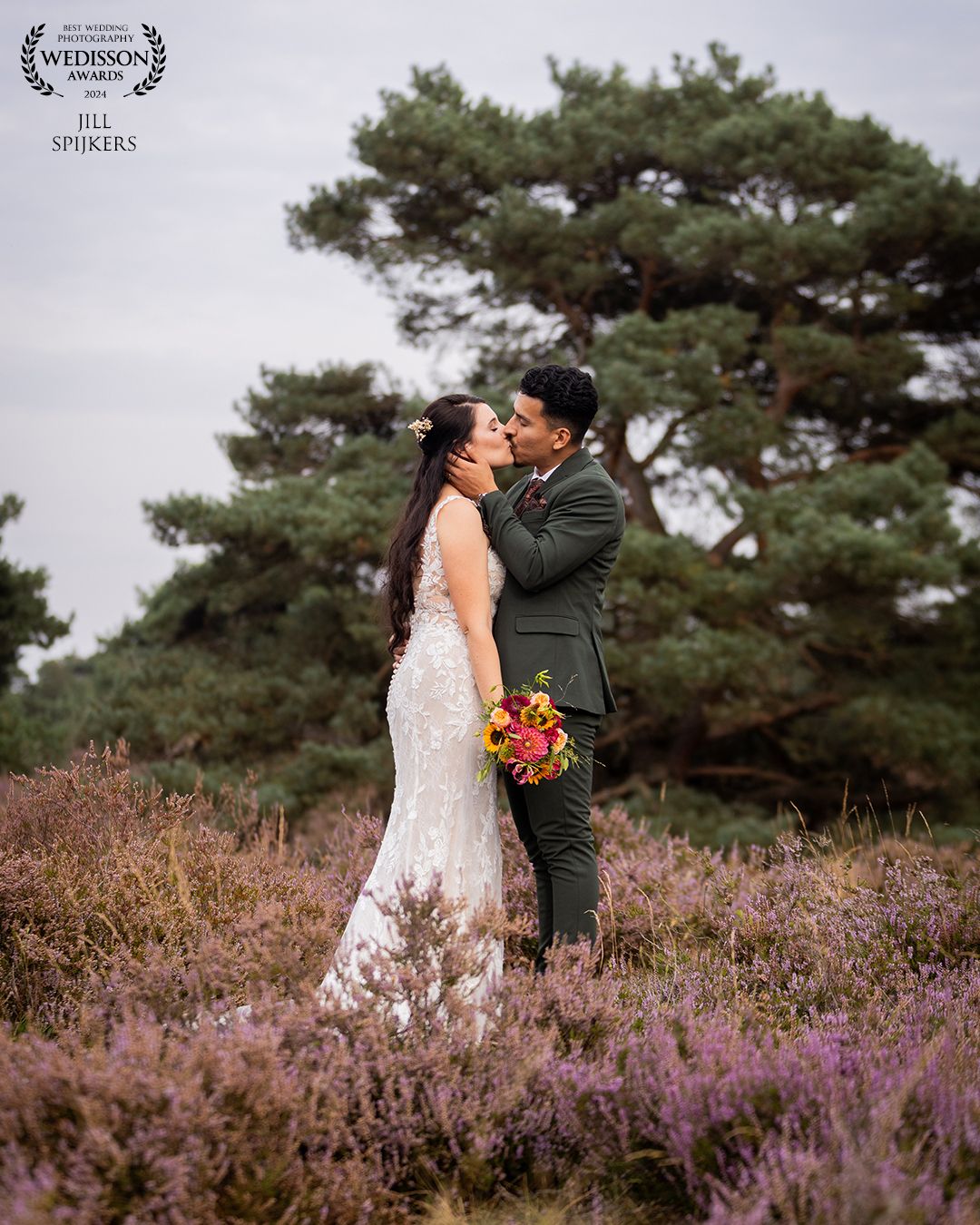 Couple embracing among blooming purple heather with tall pine trees in background.
