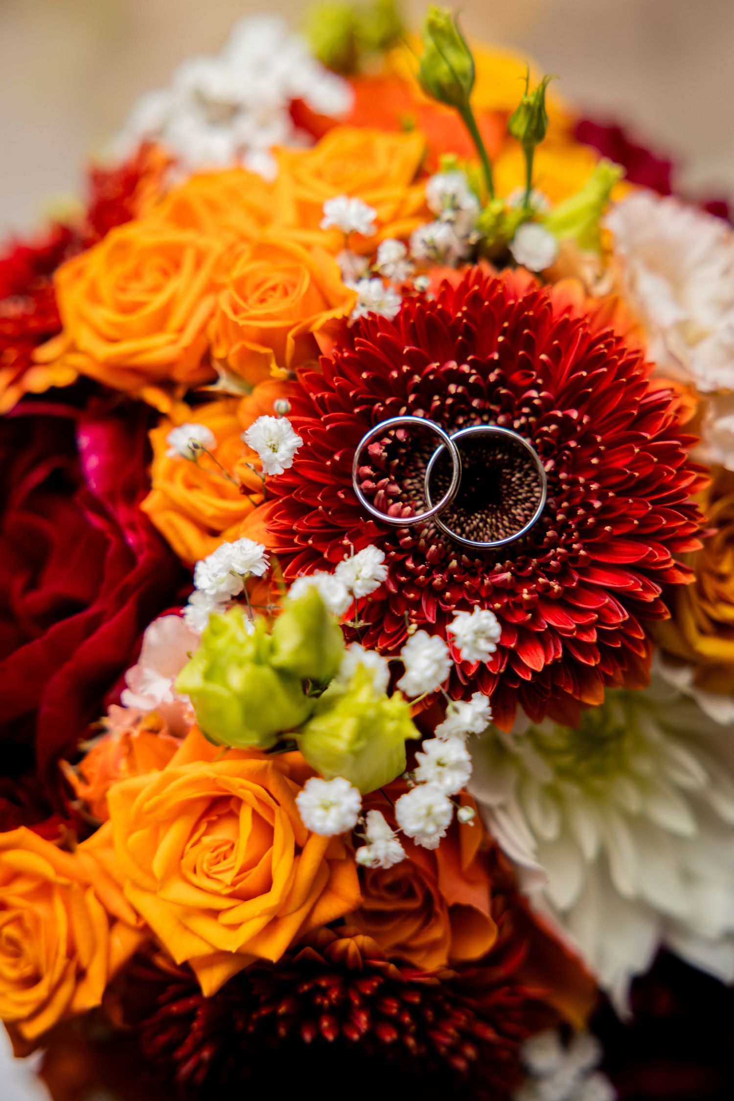 Wedding rings rest on a vibrant red gerbera daisy surrounded by orange roses and white baby's breath in a bridal bouquet.