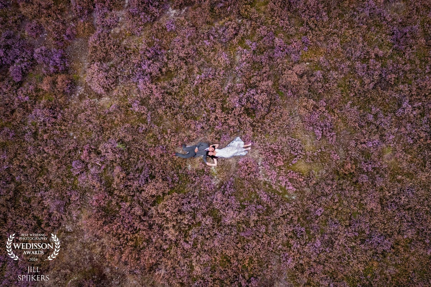 Field of purple wildflowers creating a romantic natural backdrop.