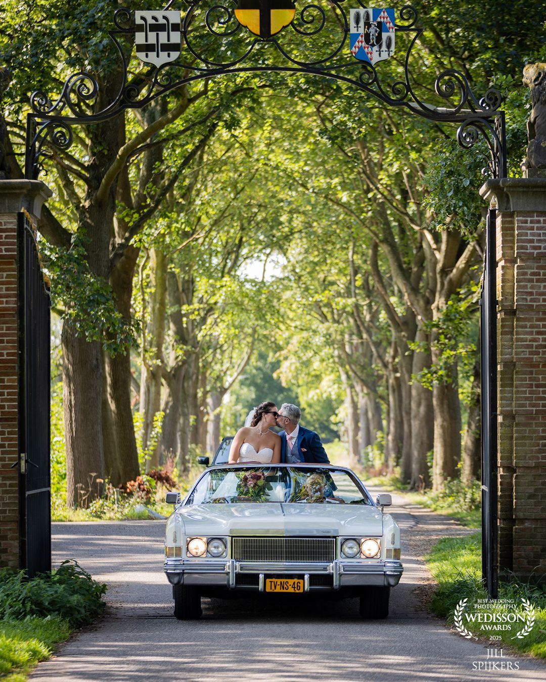 Classic Mercedes car drives down a tree-lined avenue with dappled sunlight filtering through the canopy.