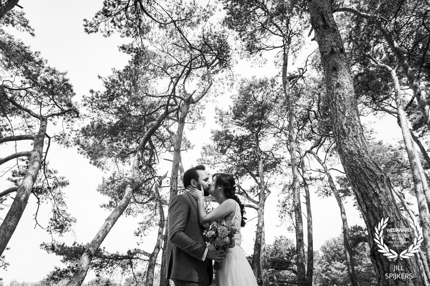 Black and white photo of a romantic wedding moment under tall pine trees.