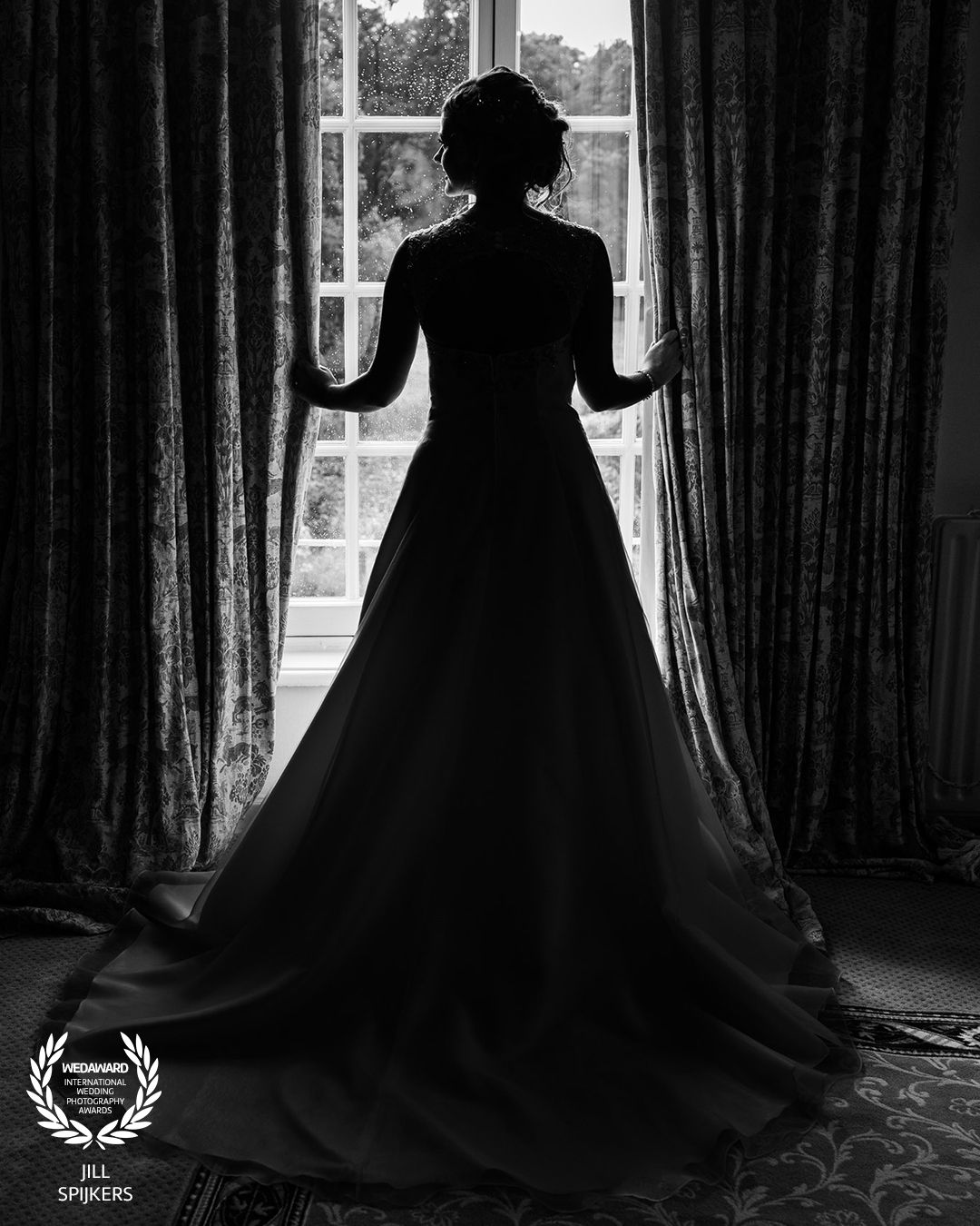 A silhouette of a person in an elegant dress stands between curtains at a window.
