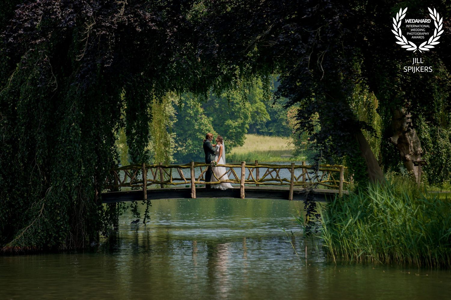 Romantic wedding portrait on a rustic wooden bridge over tranquil pond.