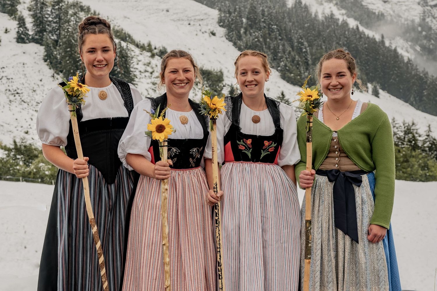 Brauchtum, Alpabzug, Alpaufzug, Brienz, Hofstetten, Trauffer, Tracht, Tradition, Kuh, Kühe, Geschmückte Kühe, Sennerin, Glocken, Urchig