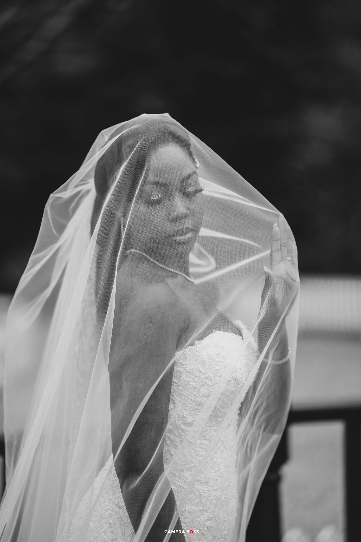 A black and white photograph of a bride in a lace wedding dress with a flowing sheer veil draped elegantly.