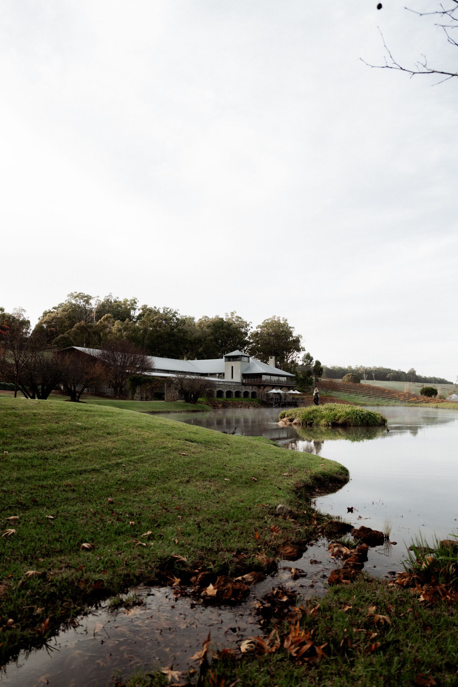 A serene panoramic view of a winding river bank with autumn leaves scattered along grassy shores in cloudy weather at Millbrook Winery.