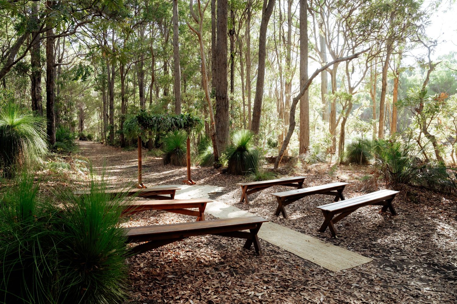 A curved pathway with wooden bench seating winds through a serene eucalyptus forest at JarrahFall Bush Camp in Jarrahdale