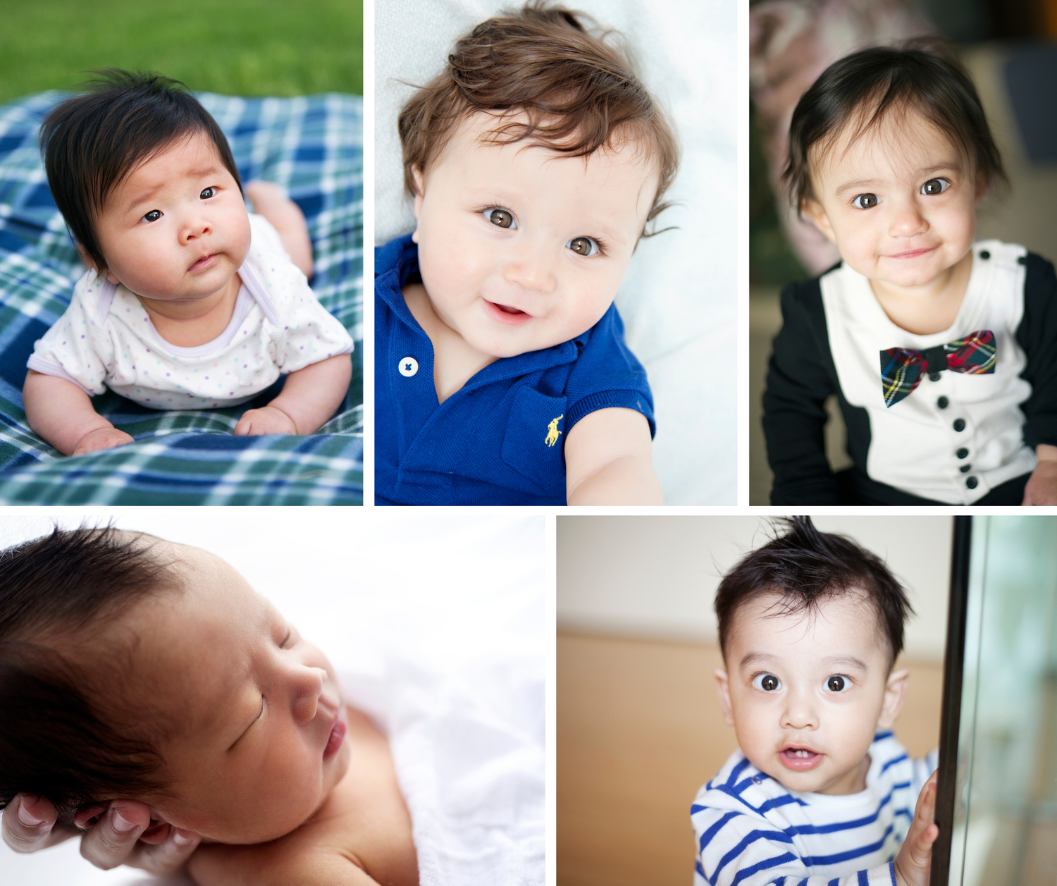 Series of newborn to one year old photos captured by Phoebe Lee Photo based in Toronto, Ontario. The first year milestone photography.