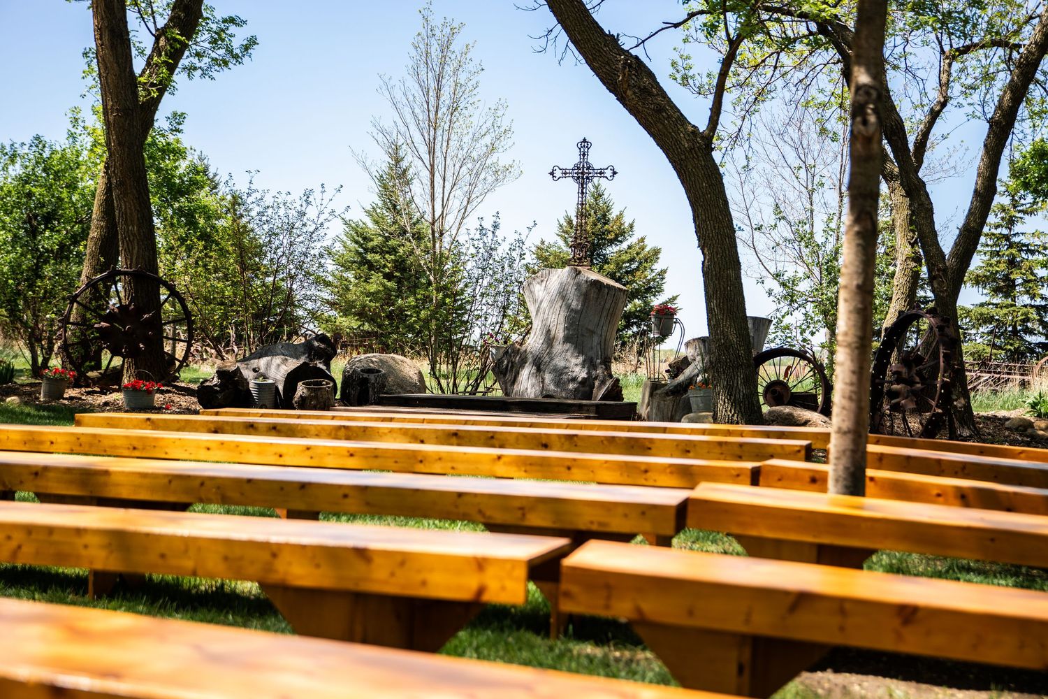 Rustic wooden benches line up beneath tall trees creating a natural outdoor wedding venue setting.