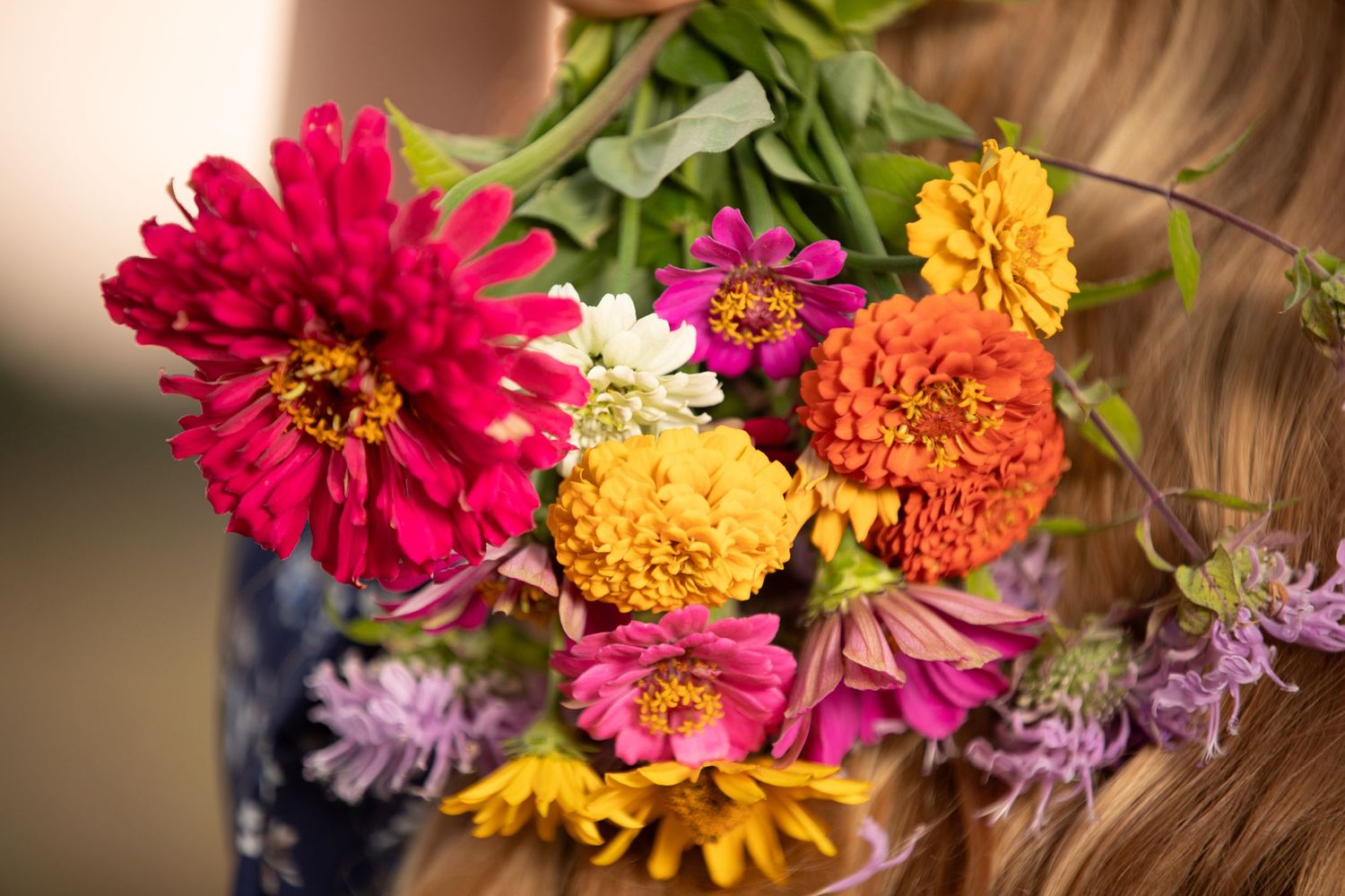 A collection of vibrant zinnias in yellow, pink, orange and purple colors arranged in a row along a wooden surface.