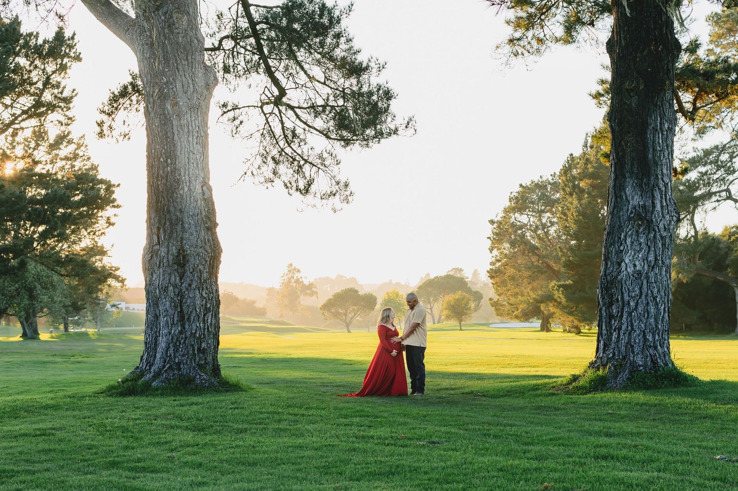 Couple stands between tall trees on grassy field during sunset photo session.