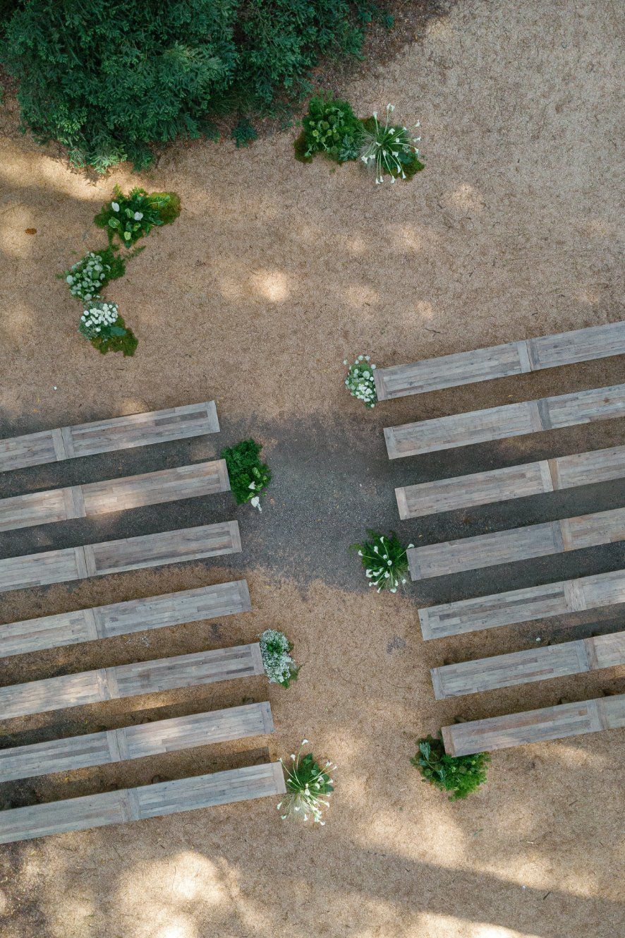 Aerial view of wooden benches arranged in rows with small decorative plants scattered between them in a garden setting.