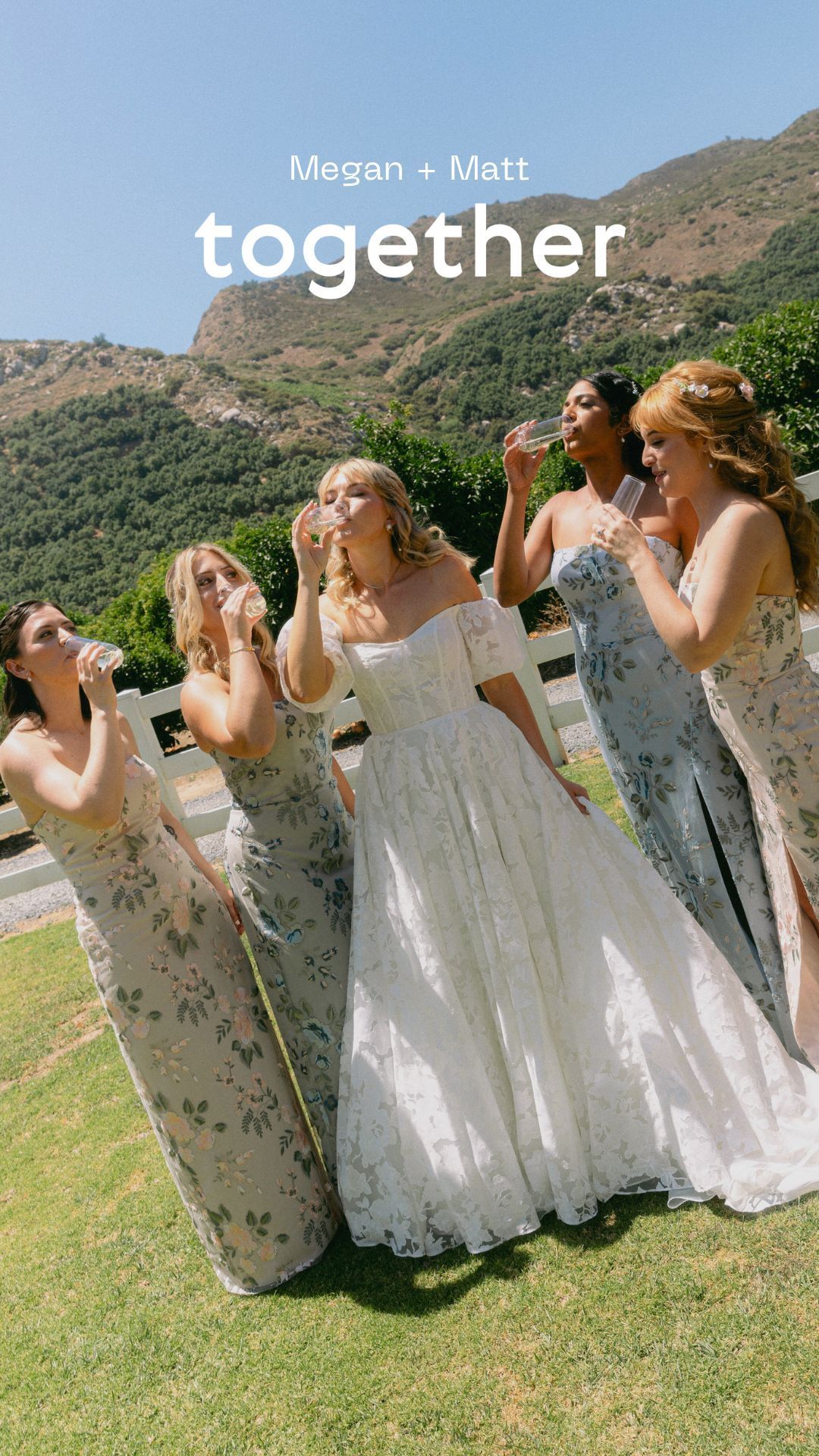 Group in formal dresses posing against mountain backdrop.