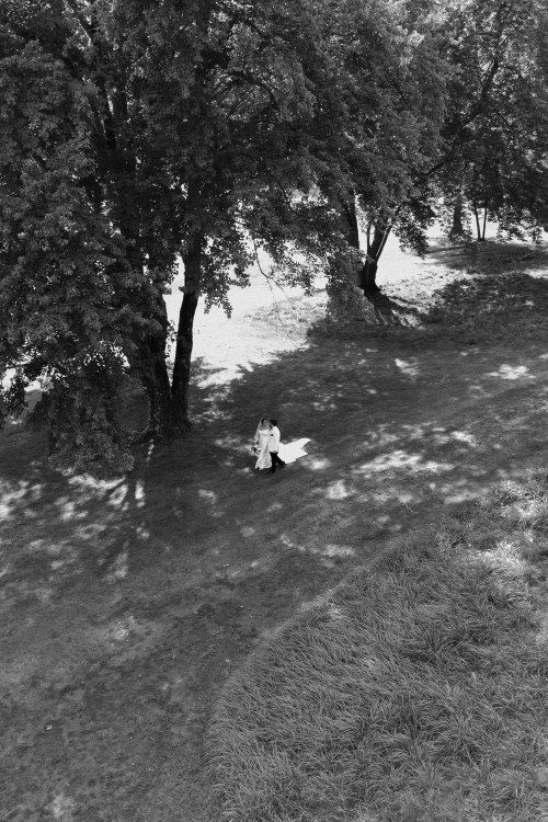 An aerial black and white view of a couple sitting beneath large trees in a park setting.