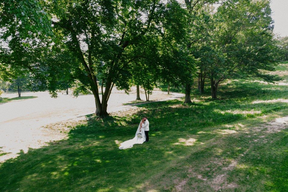 A tranquil garden path winds through lush green trees and grass on a sunny summer day.