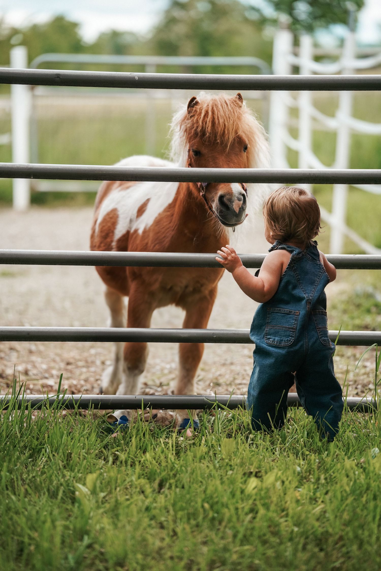 Small child in denim overalls peers through wooden fence posts at a brown horse grazing in a grassy field.