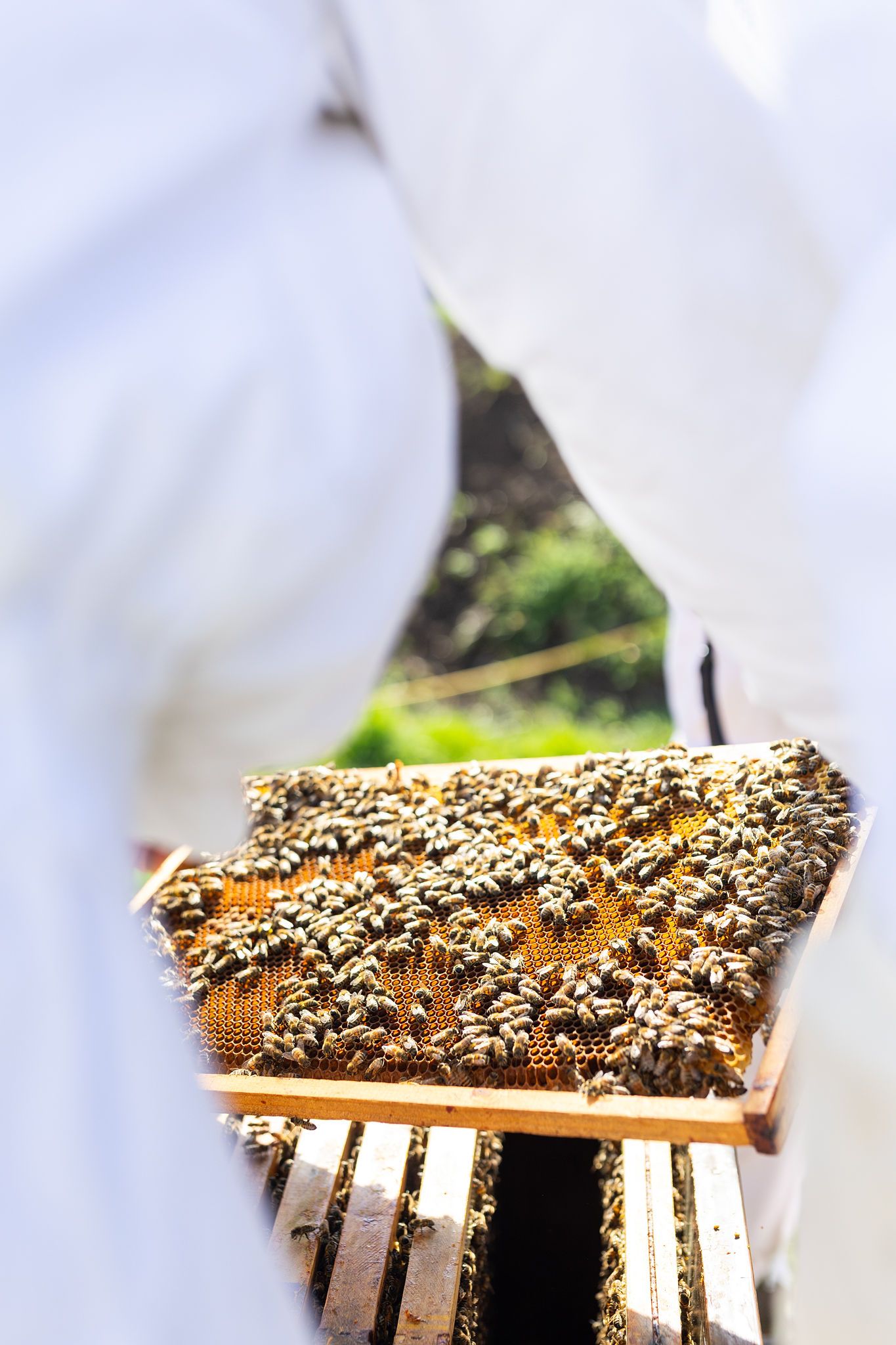 Reportage métier, avec mise en scène de l’environnement de travail