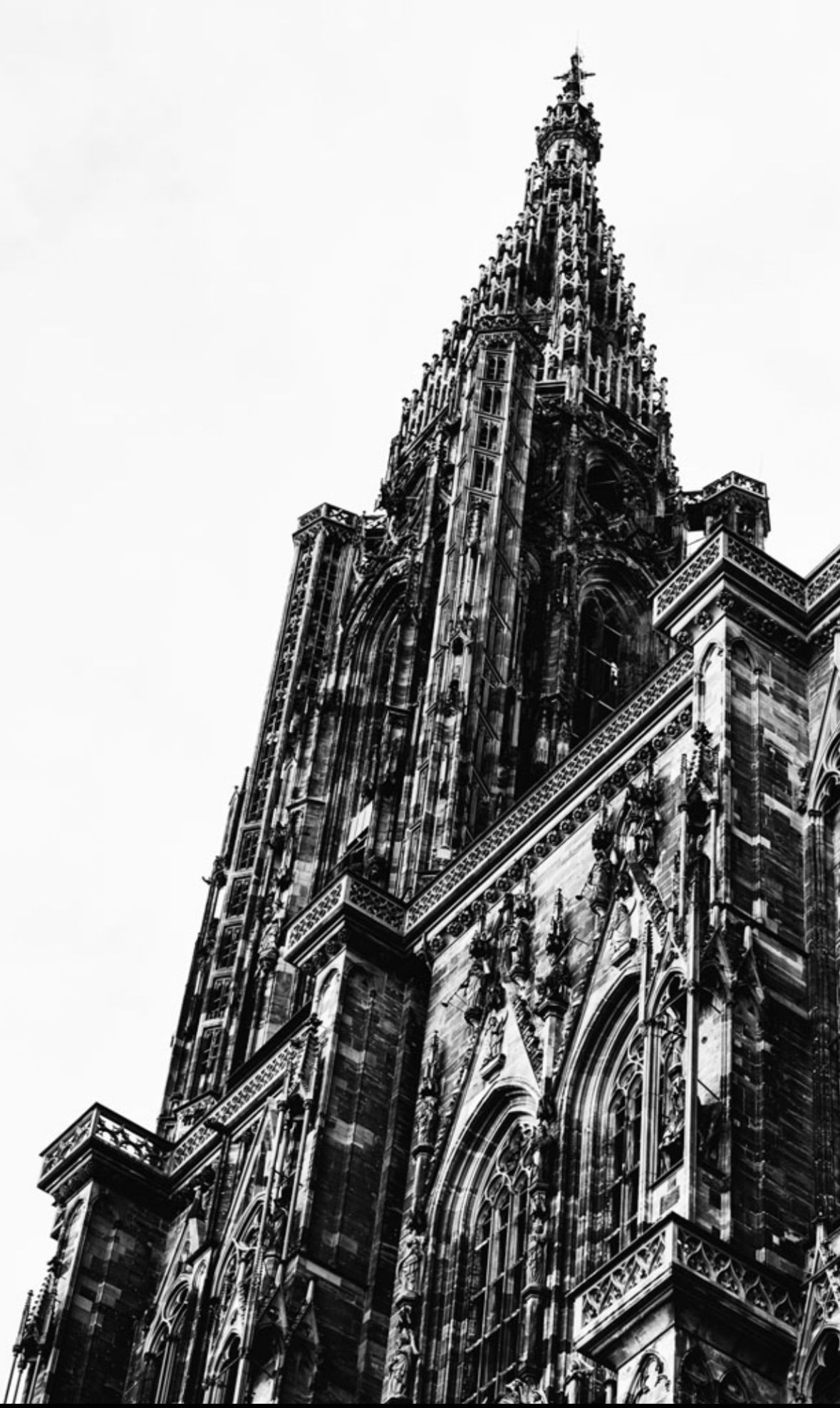 Paysage immortalisé, ambiance graphique, lumière contrastée / Strasbourg