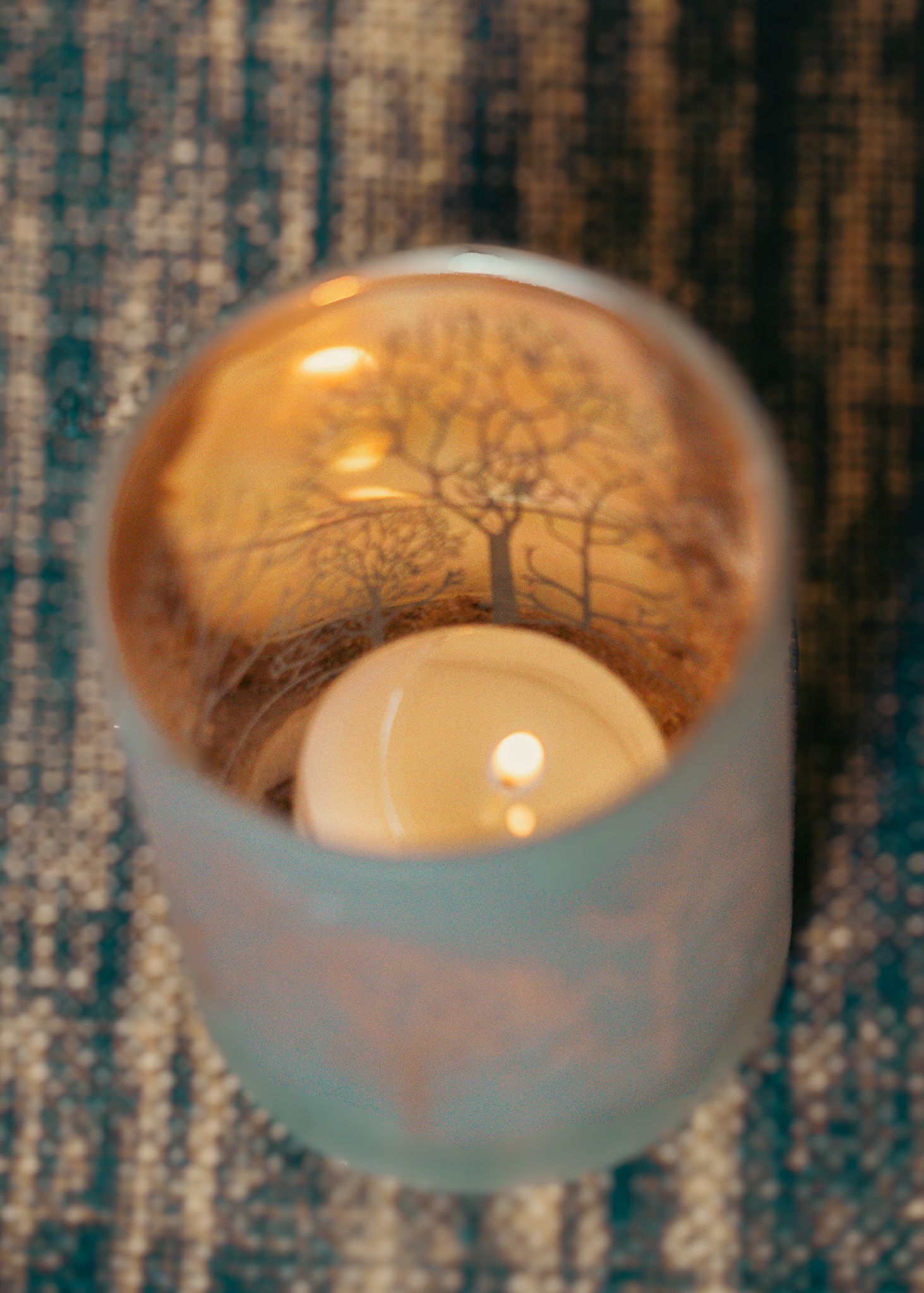 Lit candle in frosted glass holder creating tree silhouette pattern.