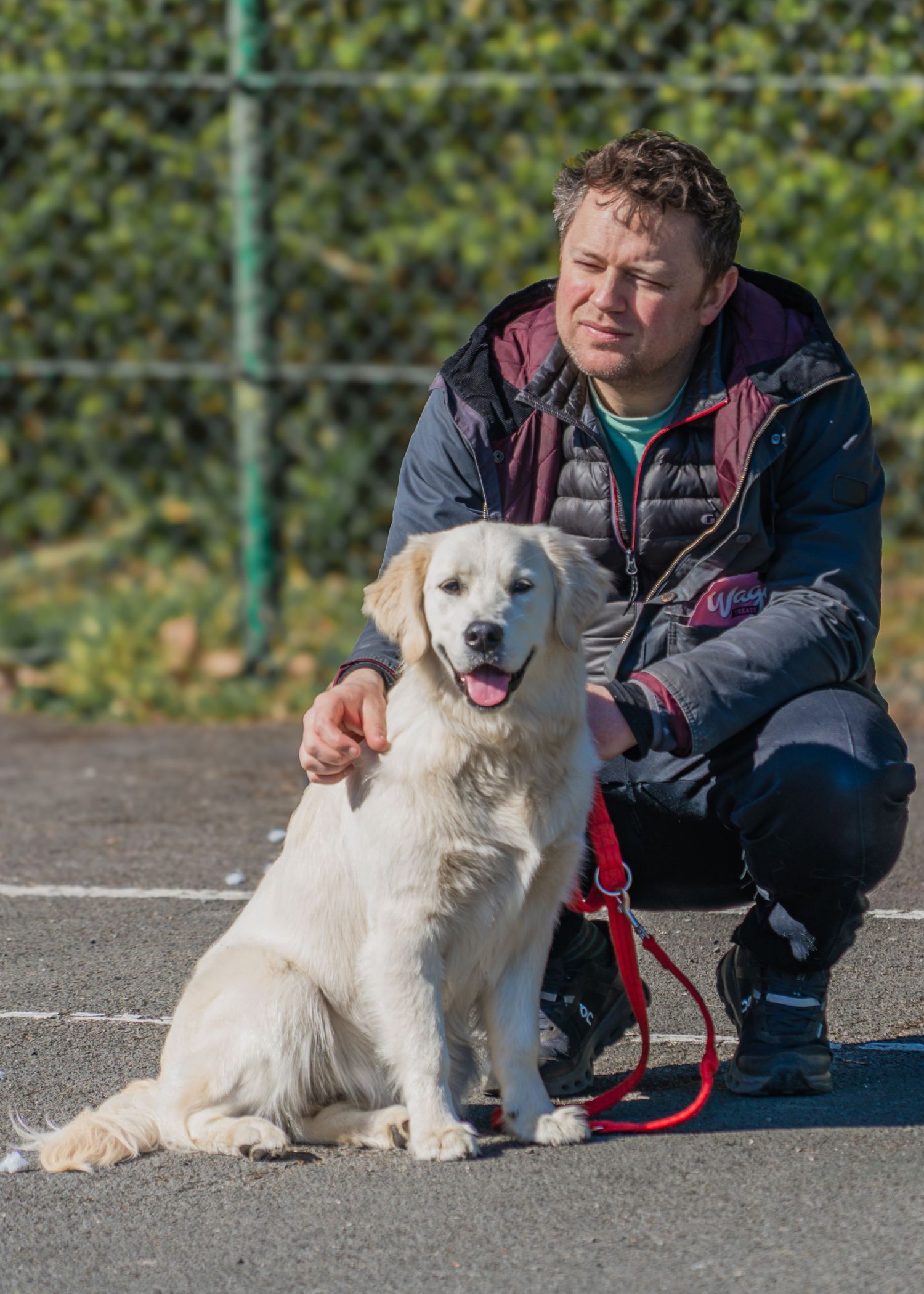 Golden retriever and trainer practicing obedience training in an outdoor parking area.