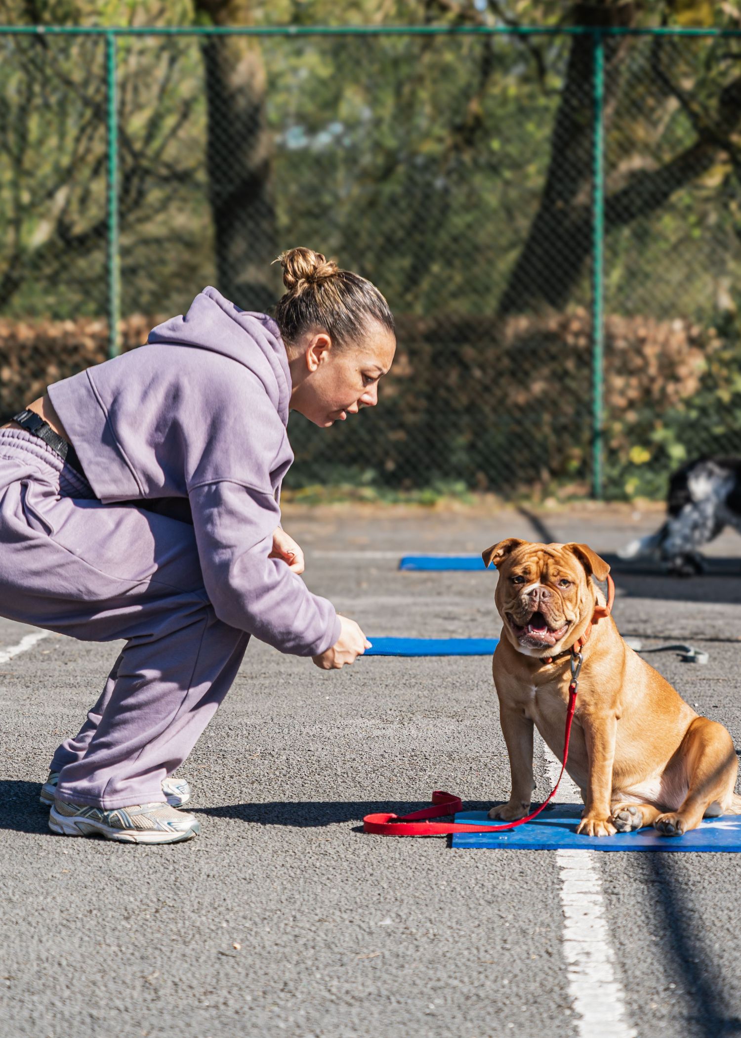 Dog trainer in purple sweatsuit working with a happy brown dog on a blue training mat outdoors.