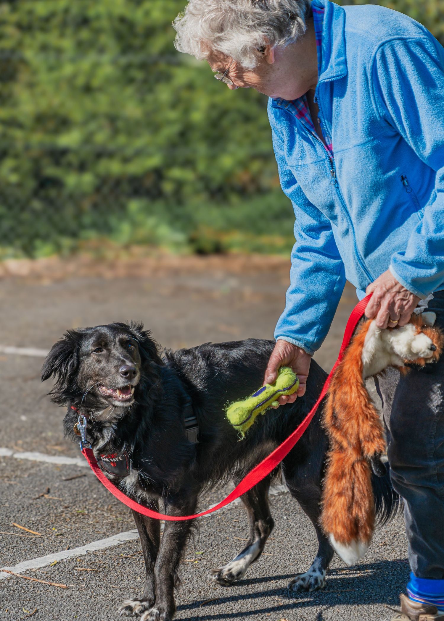 Training session with black dog and companion holding treats and leash.
