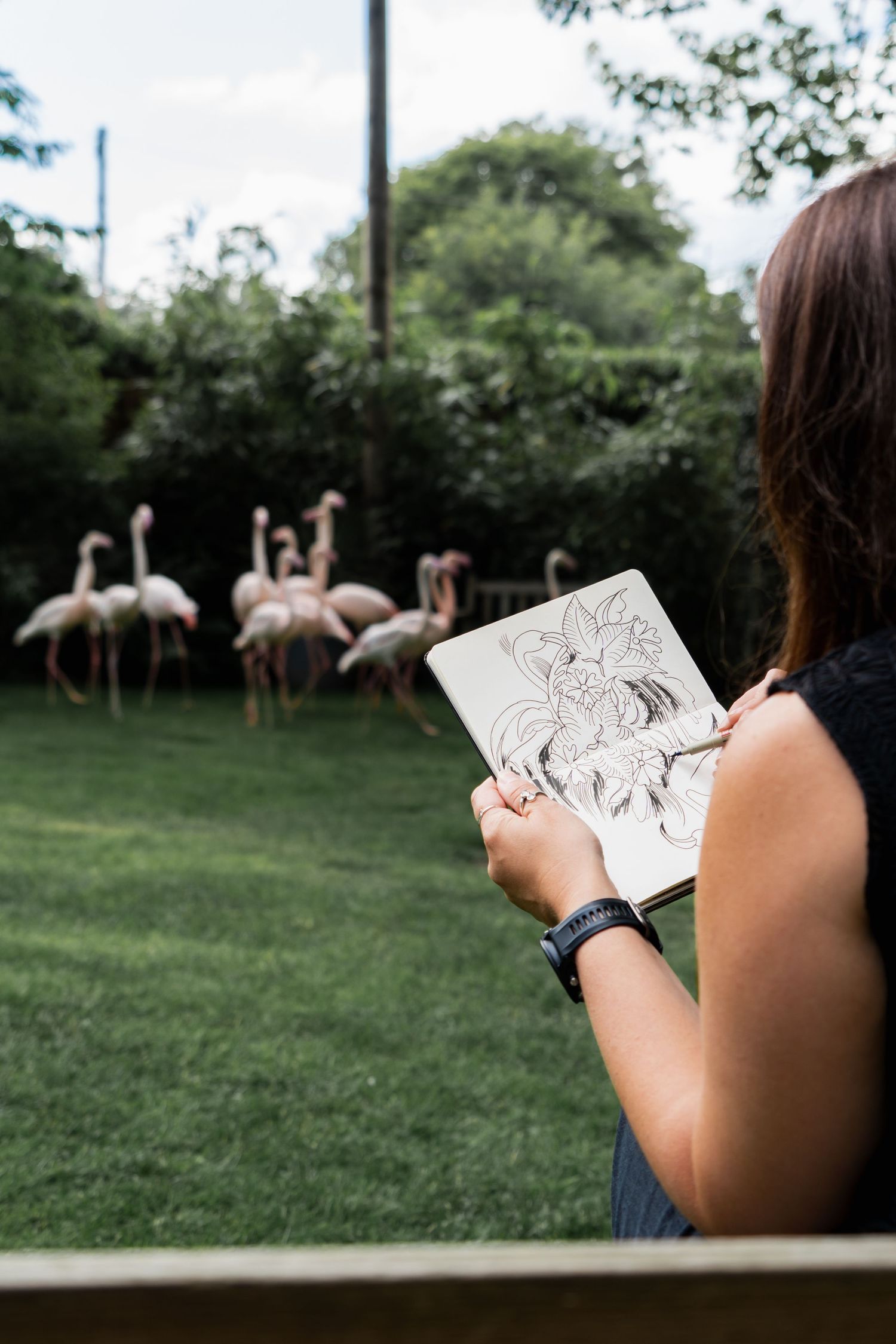 Artist sketches flamingo wildlife on paper while observing the birds grazing in an outdoor park.