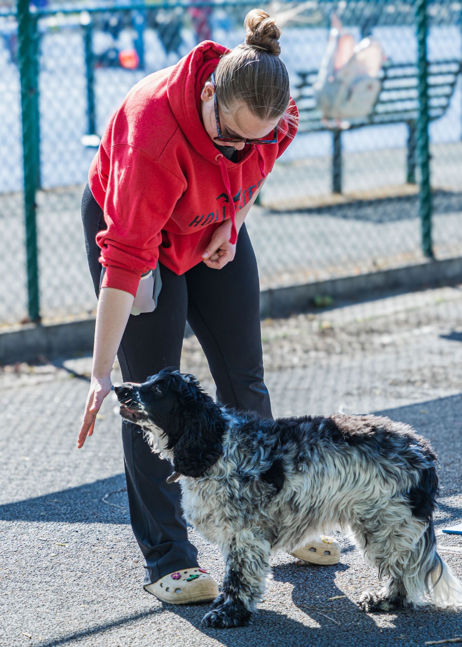 Training session with dog and instructor in red sweatshirt on outdoor court.