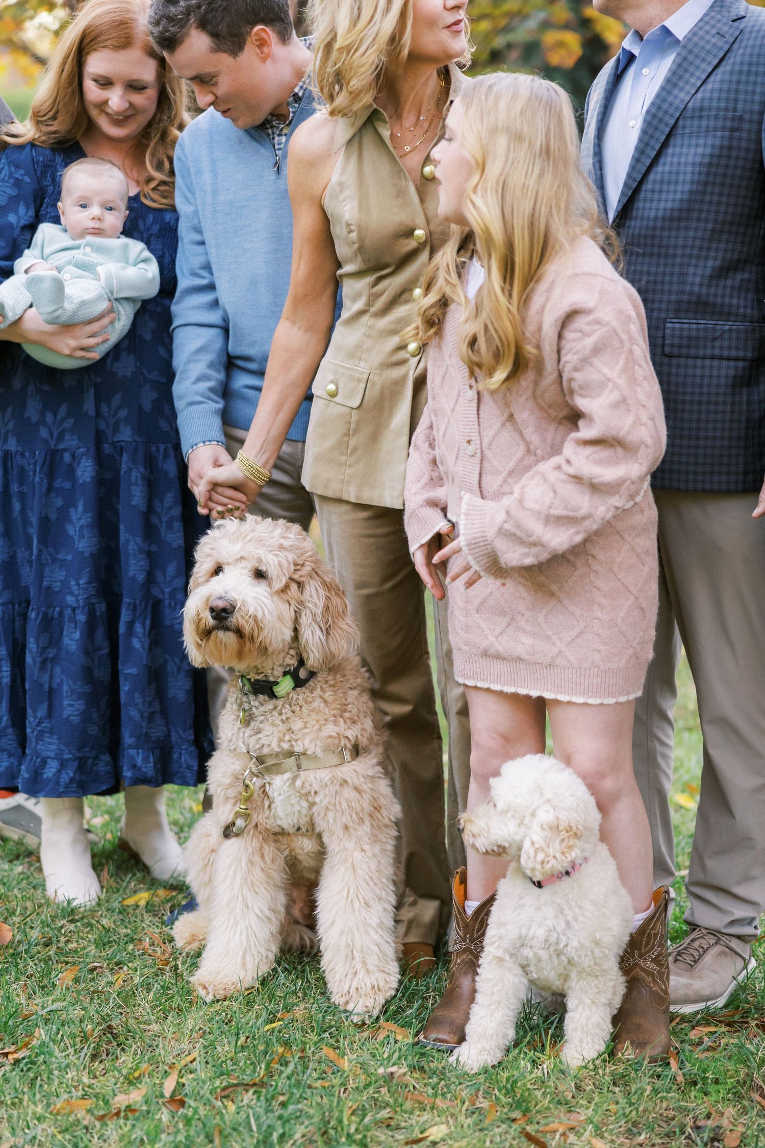 Family gathering outdoors with two fluffy white dogs and a baby in a coordinated autumn photoshoot.