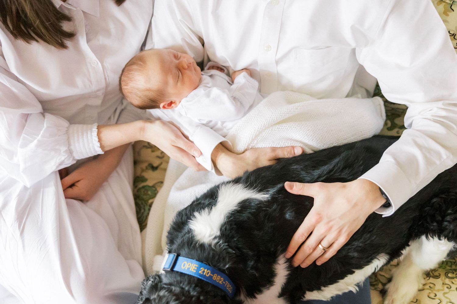 A sleeping newborn rests peacefully next to a black and white dog on white fabric.