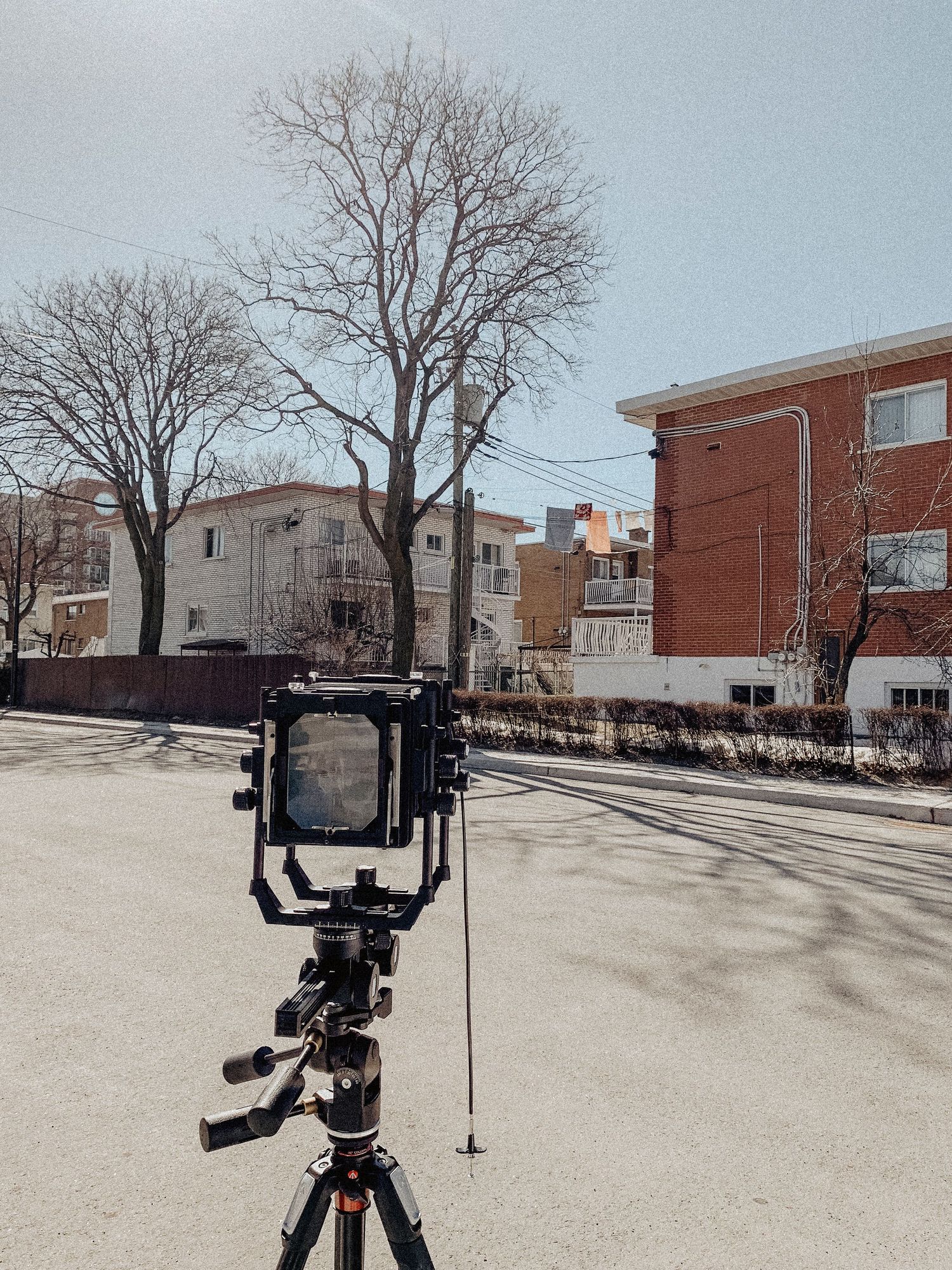 Appareil photo grand format sur trépied dans une rue urbaine avec des arbres dénudés et des bâtiments en brique.