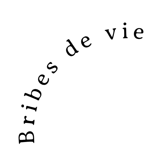 Curved text reading 'Bribes de vie' arranged in a circular arc against a white background.