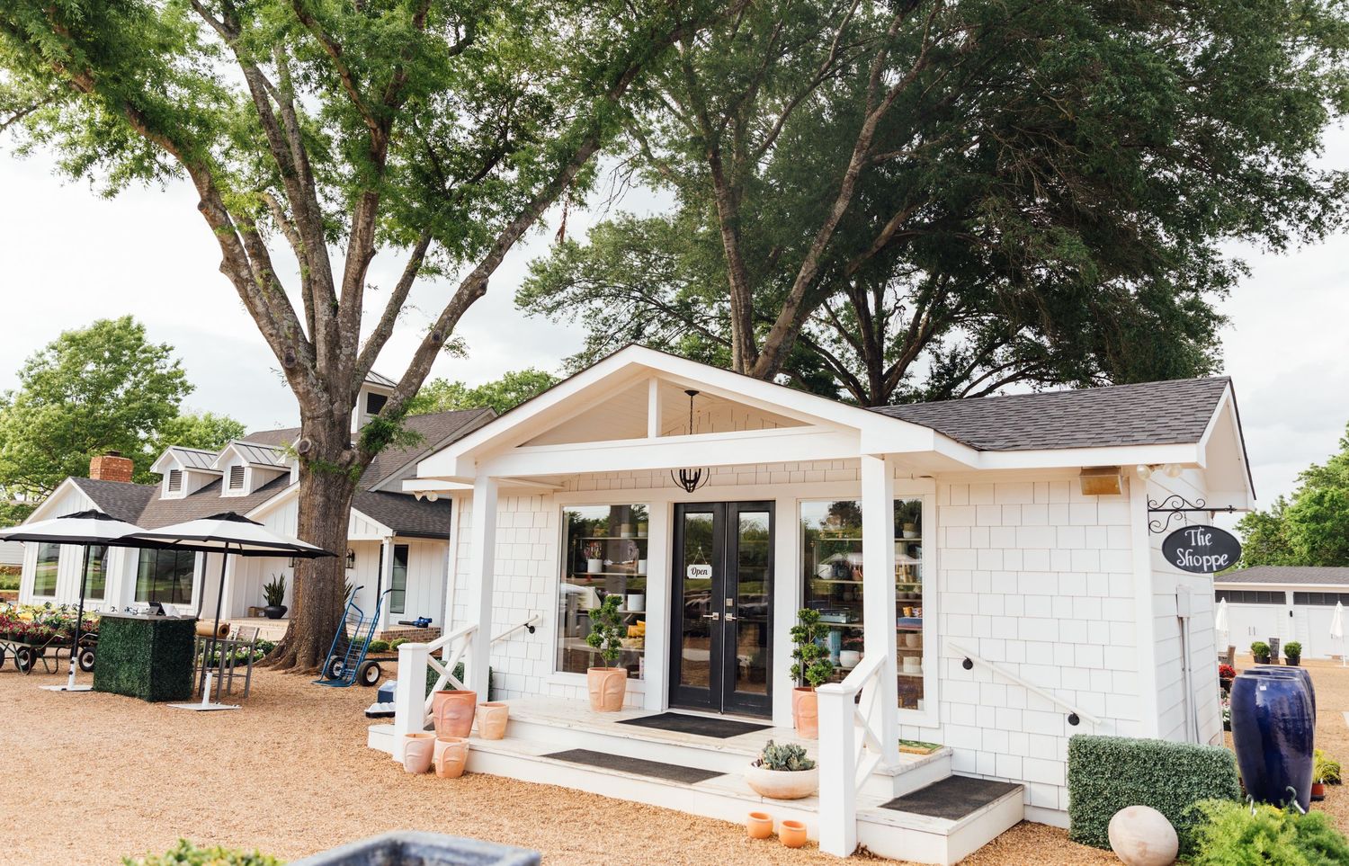 A charming white cottage-style shop with pumpkins on display and large shade trees overhead during fall season.