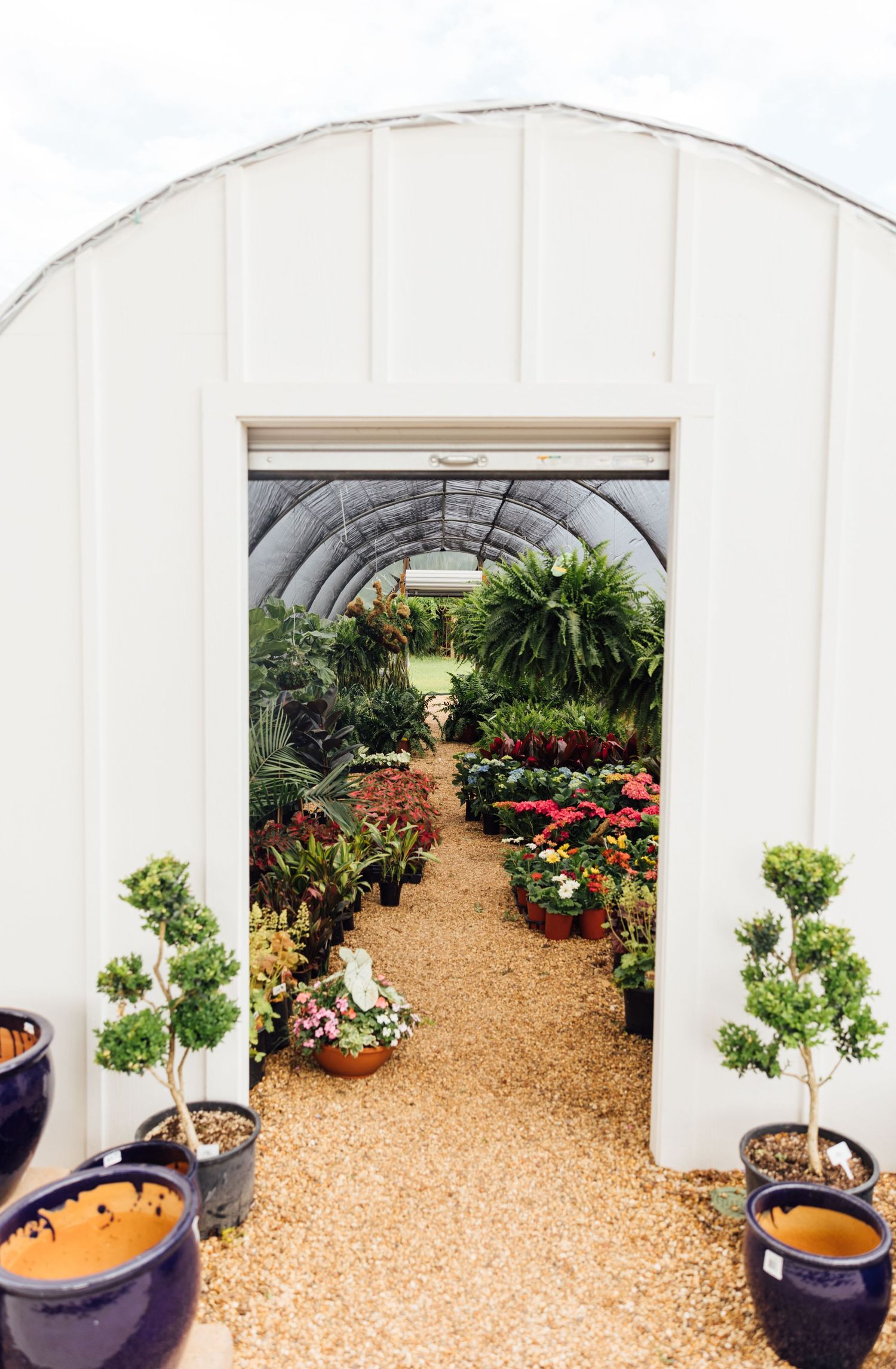A greenhouse entrance with white walls leading to a lush path filled with potted plants and colorful flowers.