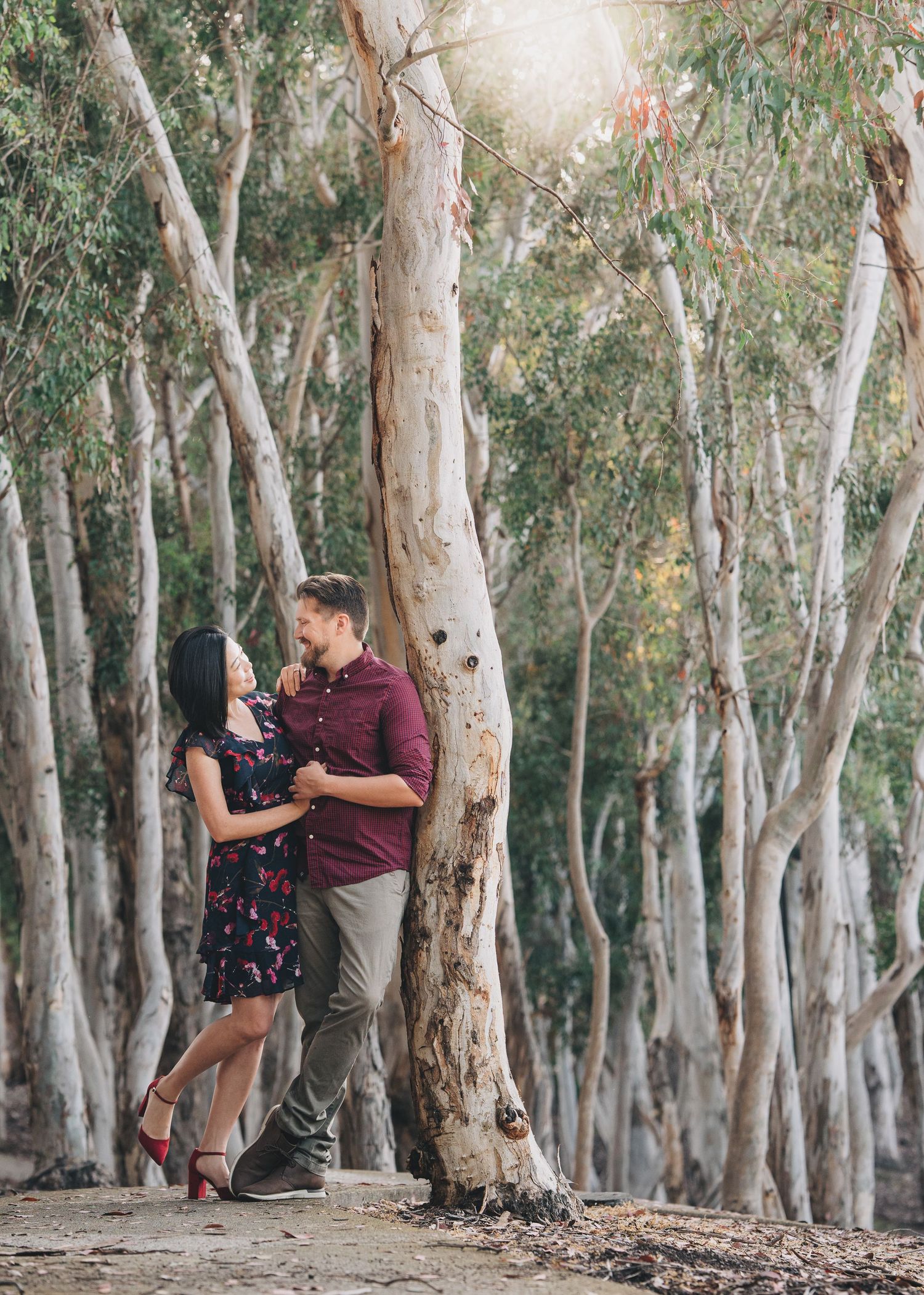A couple embraces beside tall eucalyptus trees in a romantic forest setting during golden hour.