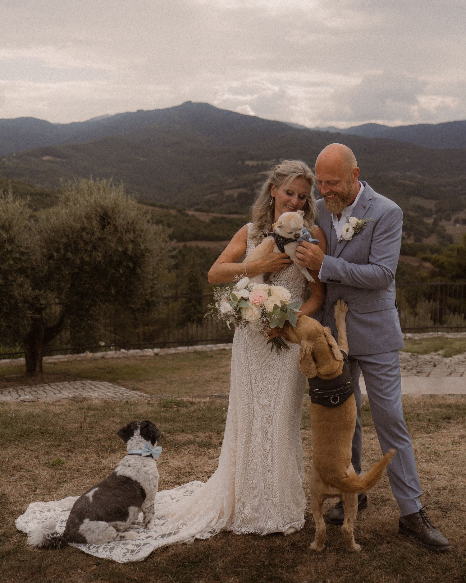 Wedding couple sharing joyful moment with their dogs against mountain backdrop.