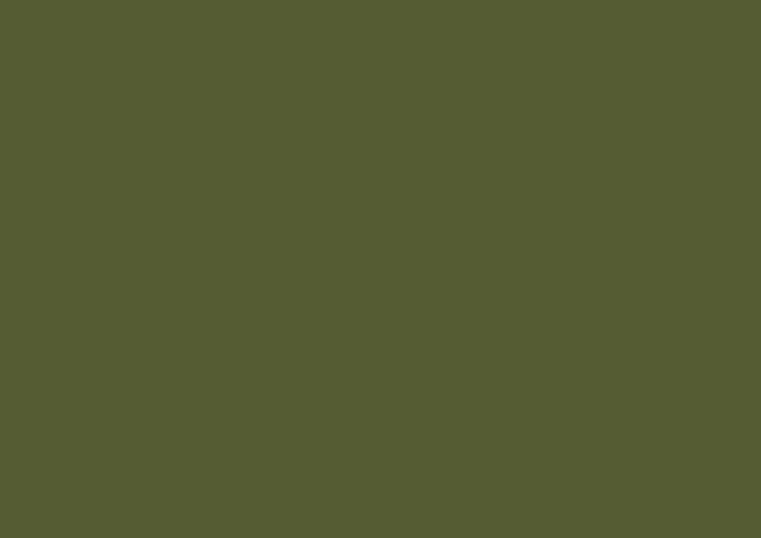 Solid olive green background texture.