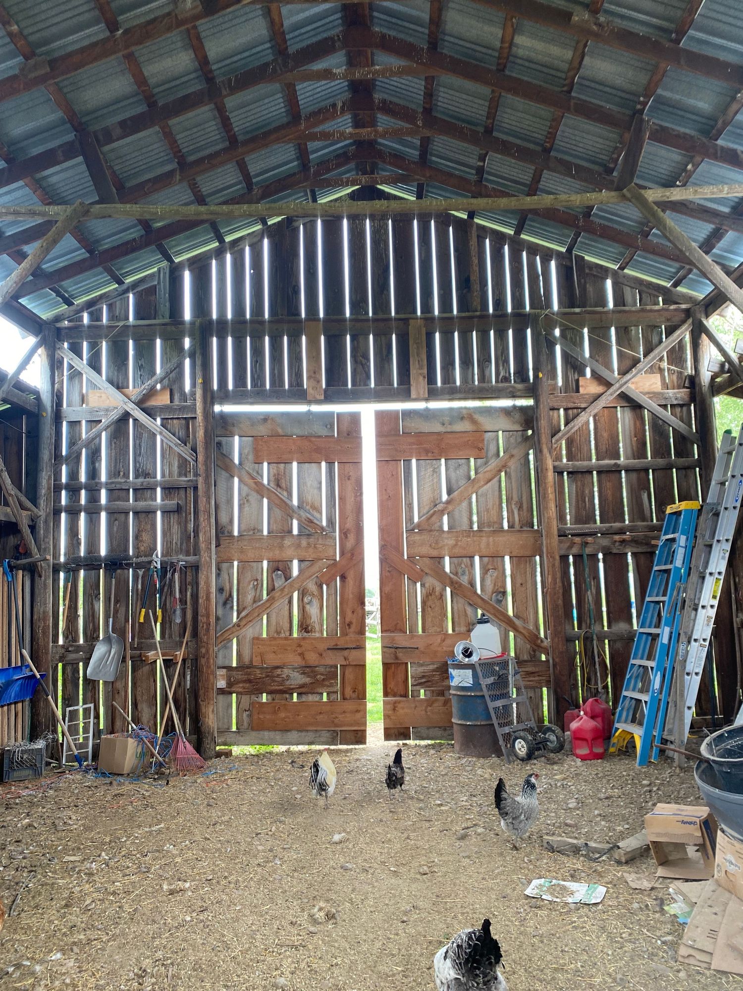 Montana Barn Builds