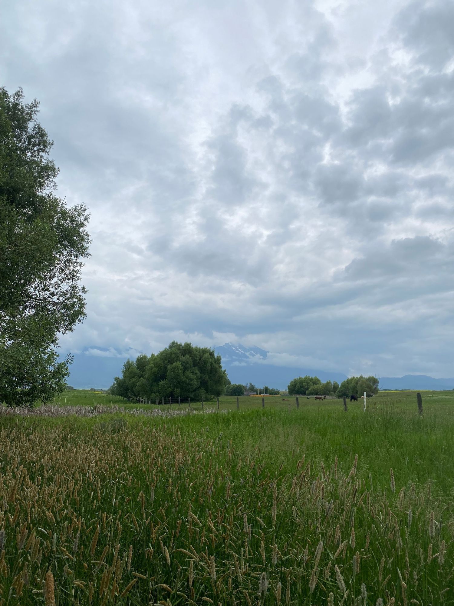 St Ignatius Montana